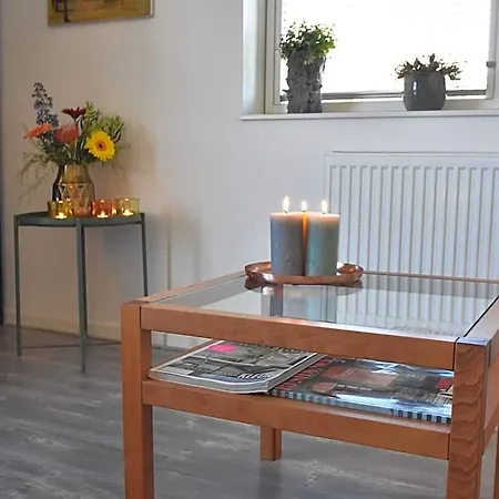Hotel Cosy Flat In Schoorl Near Forest Bergen